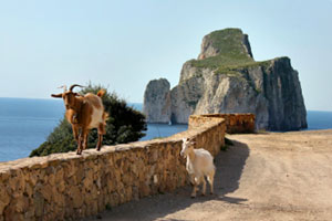 Sardinia Photo & Video Location Scouting - Coast