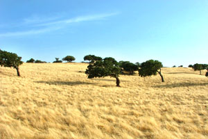 Sardinia Photo & Video Location Scouting - Landscape